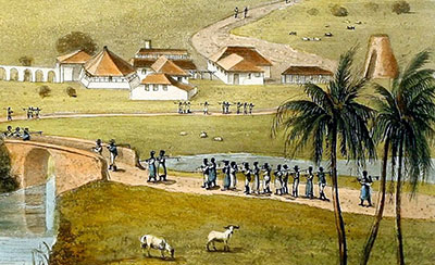 View of Trinity Estate from James Hakewill's A Picturesque Tour of the Island of Jamaica, 1825